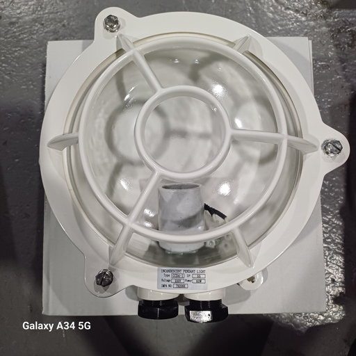 [44459] Marine light/Incandescent Pendant Light 792066