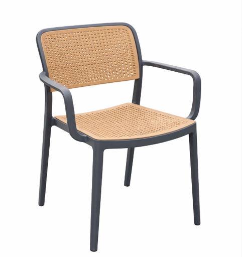[49739] Plastic Chair (C120) Grey 92893 - 56*43*80cm PP