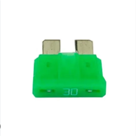 [10145] Fuse M473081 30A