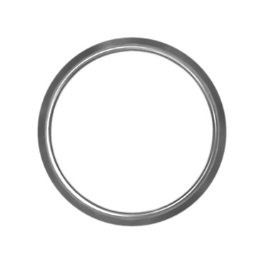 [4508] Seal V Ring 171-2183