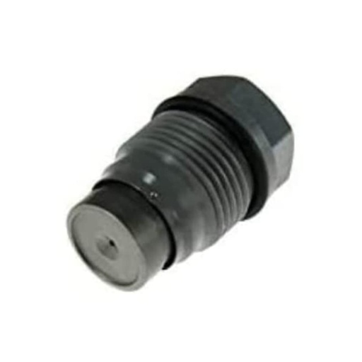 [7137] Engine Relief Valve 1110010028