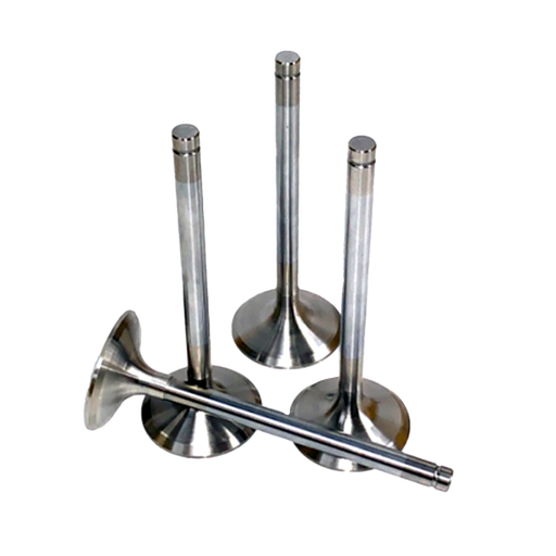 [7696] Exhaust Valve 4LE2