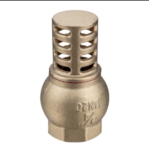 [8801] Brass Foot Valve 1"