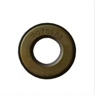 [10691] PT Pump Seal 3075523