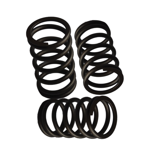 [13954] Valve springs 612630050005 (For Marine engine 550HP)