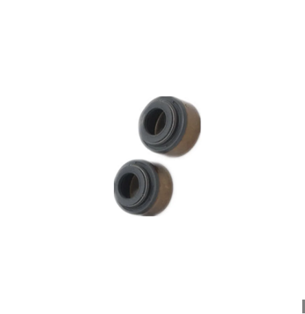 [20557] Valve Stem Seal