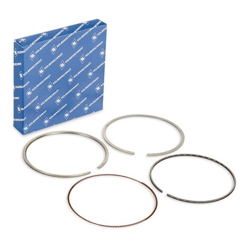 [2650] Piston Ring Volvo 800044410000