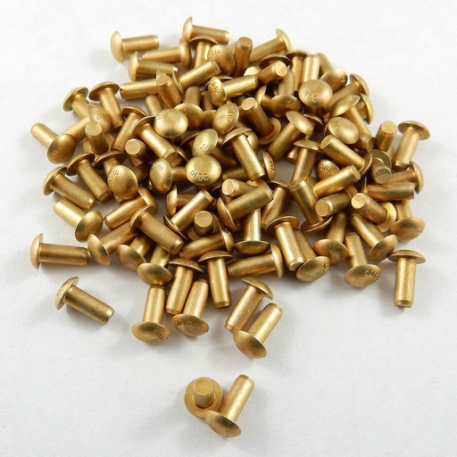 [21319] Button Head Rivets 1"